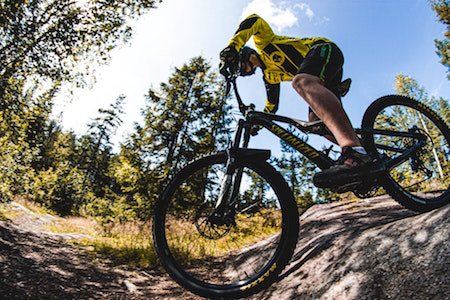 Man on mountain bike in forest