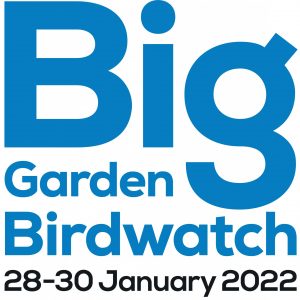 Big Garden Birdwatch