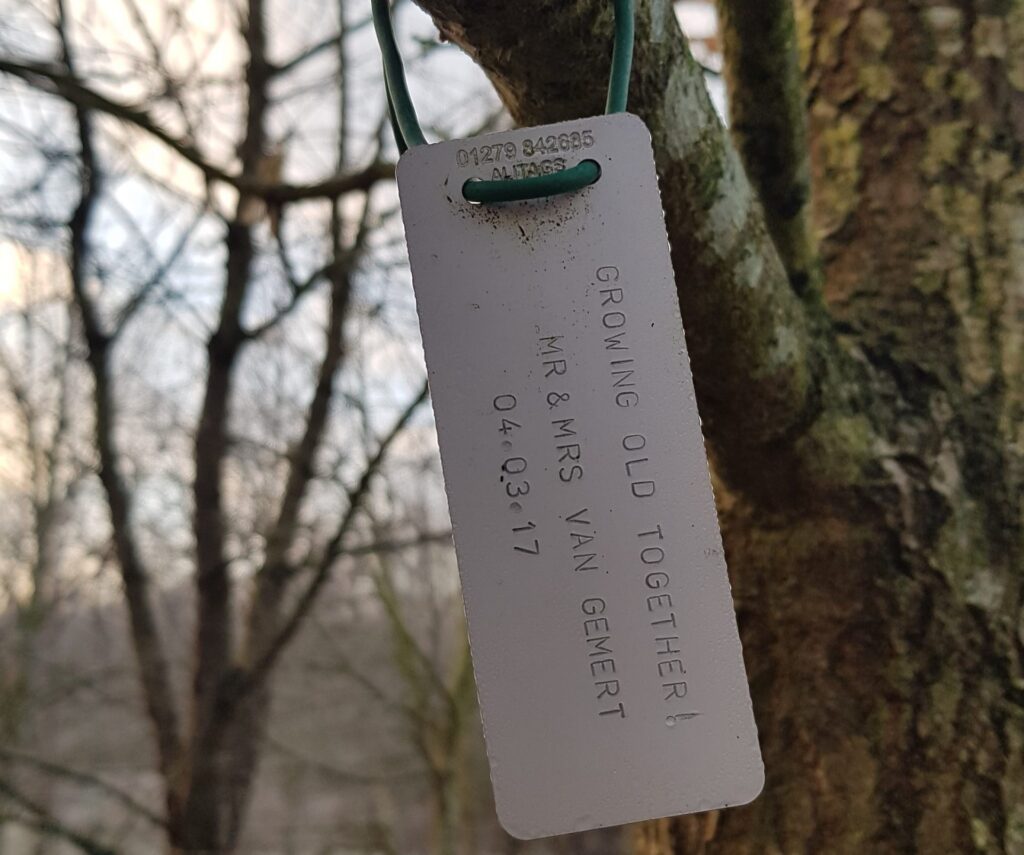 Tag a tree