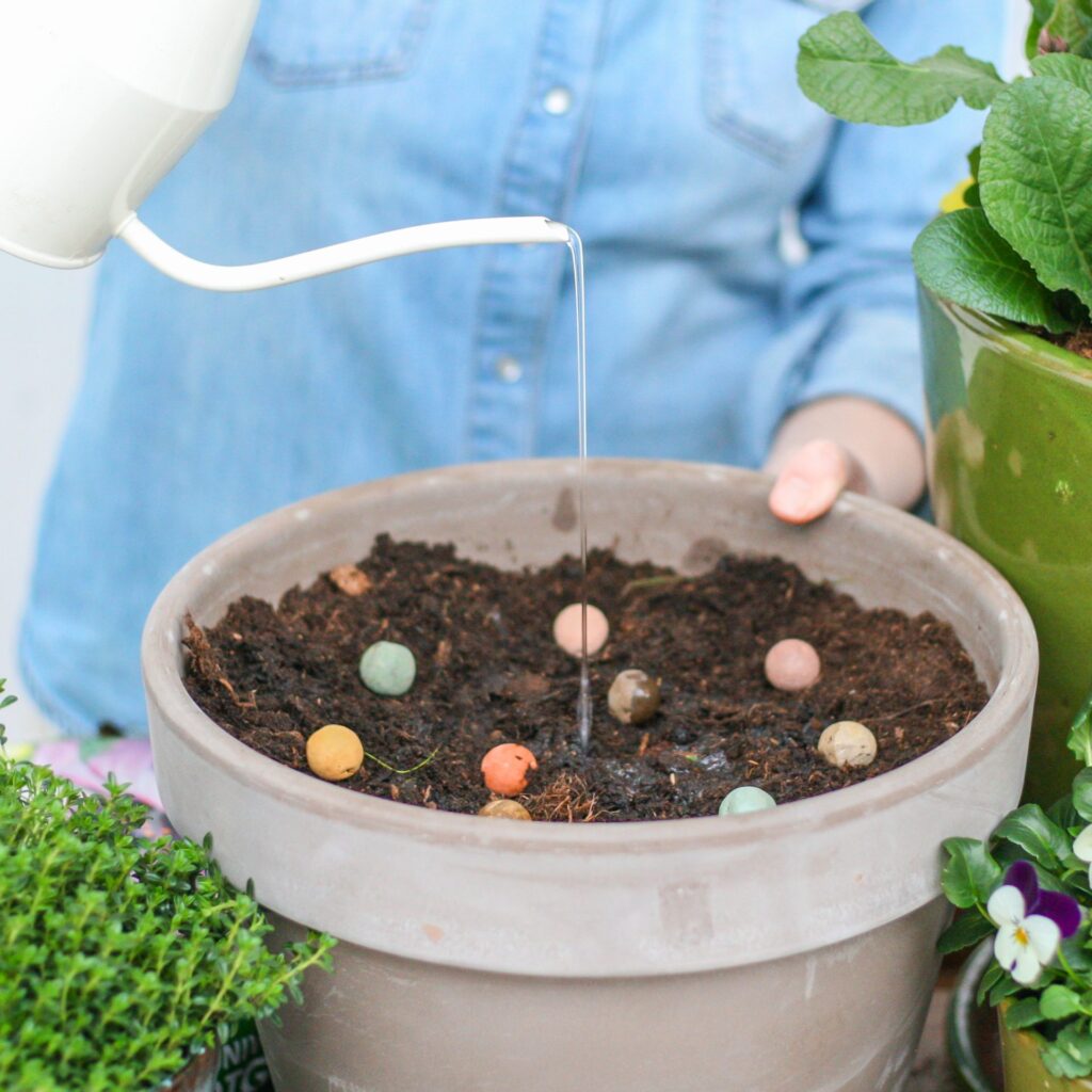 BloomPost seed bombs