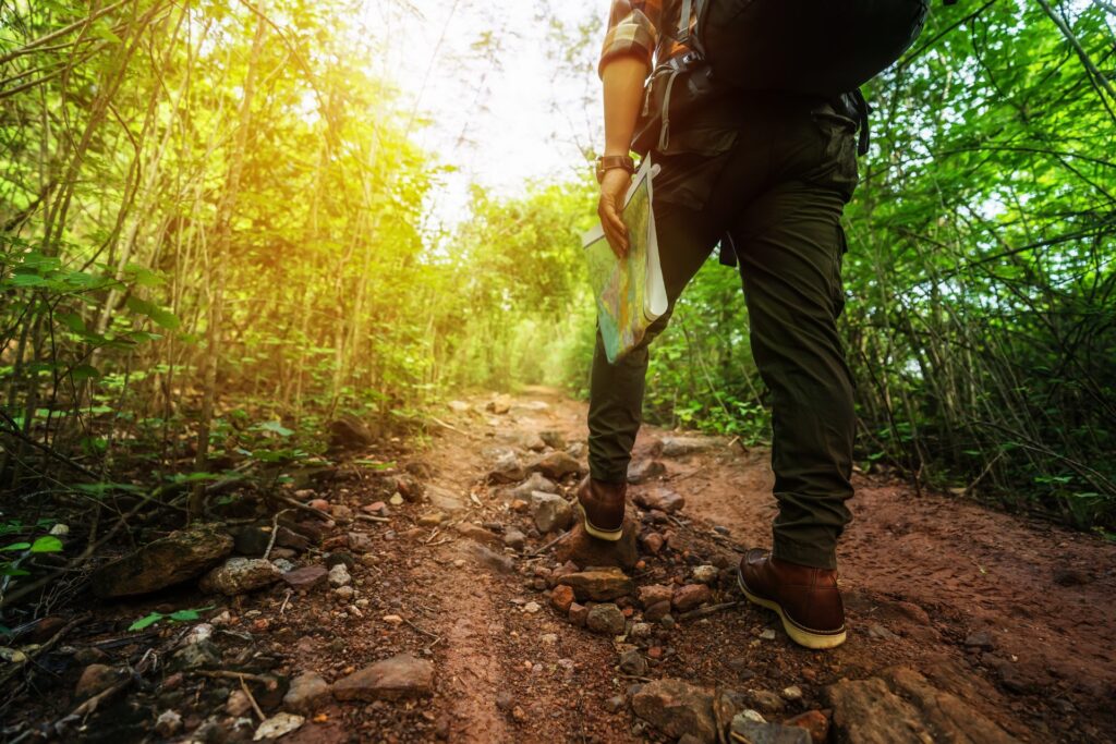 Top 10 tips for beginner walkers and hikers