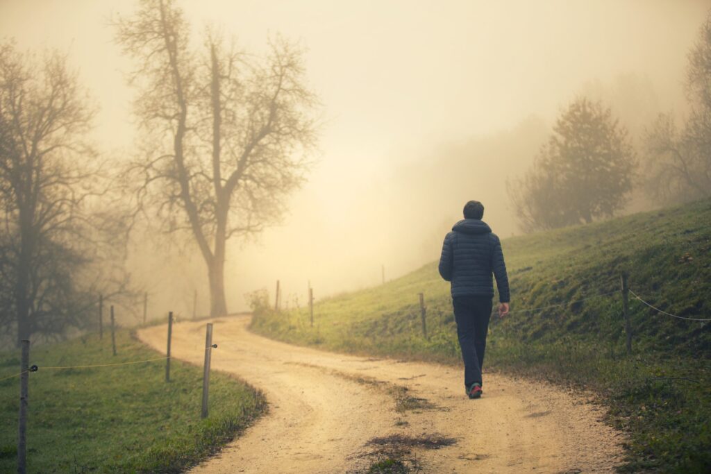 have a mindful walk