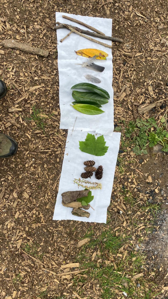 Woodland-treasure-hunt-Root-and-Branch-Out